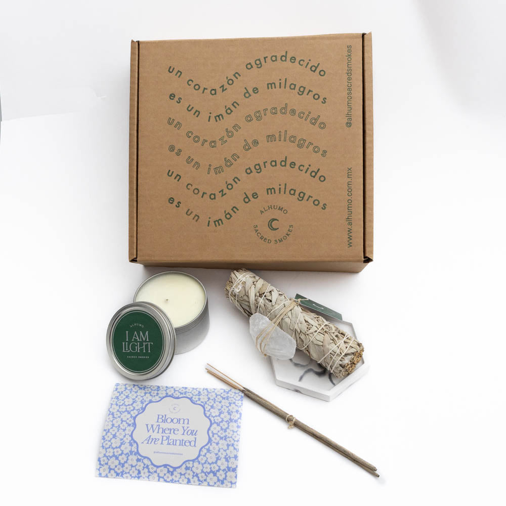Purify - Kit de Limpieza y Protección