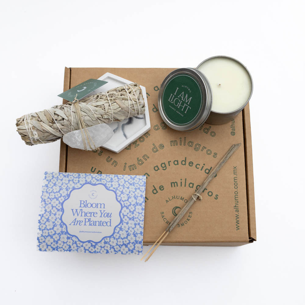 Purify - Kit de Limpieza y Protección