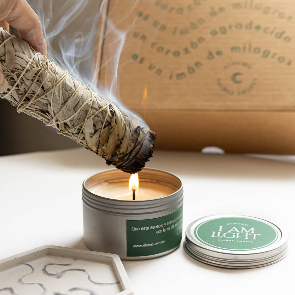Purify - Kit de Limpieza y Protección