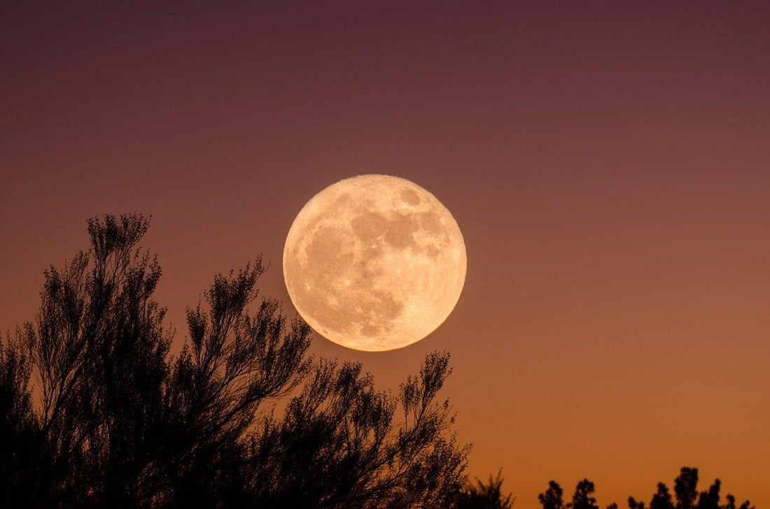 Qué significa energéticamente la Luna de Fresa en Capricornio - Alhumo Sacred Smokes