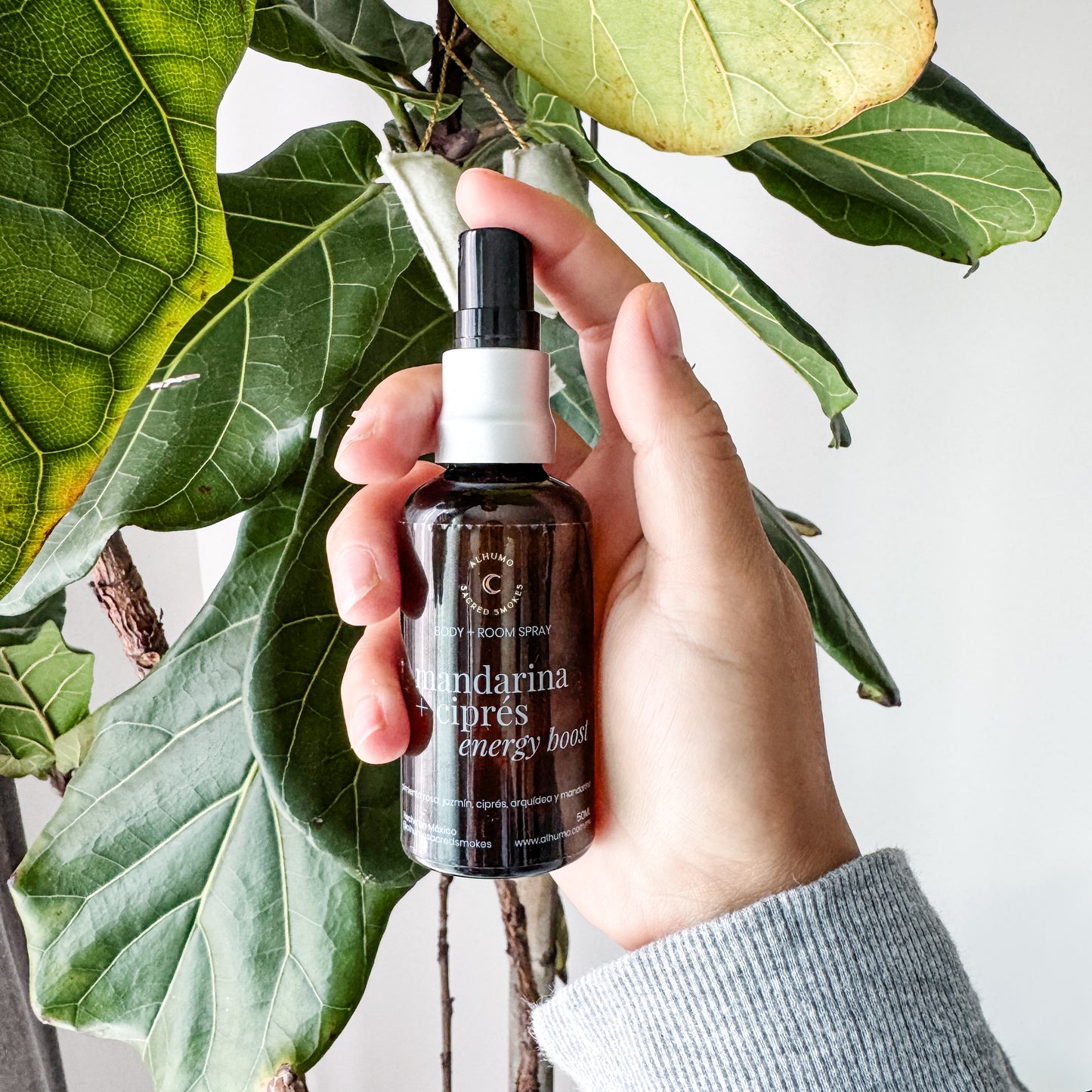 Energy boost | Mandarina + Ciprés