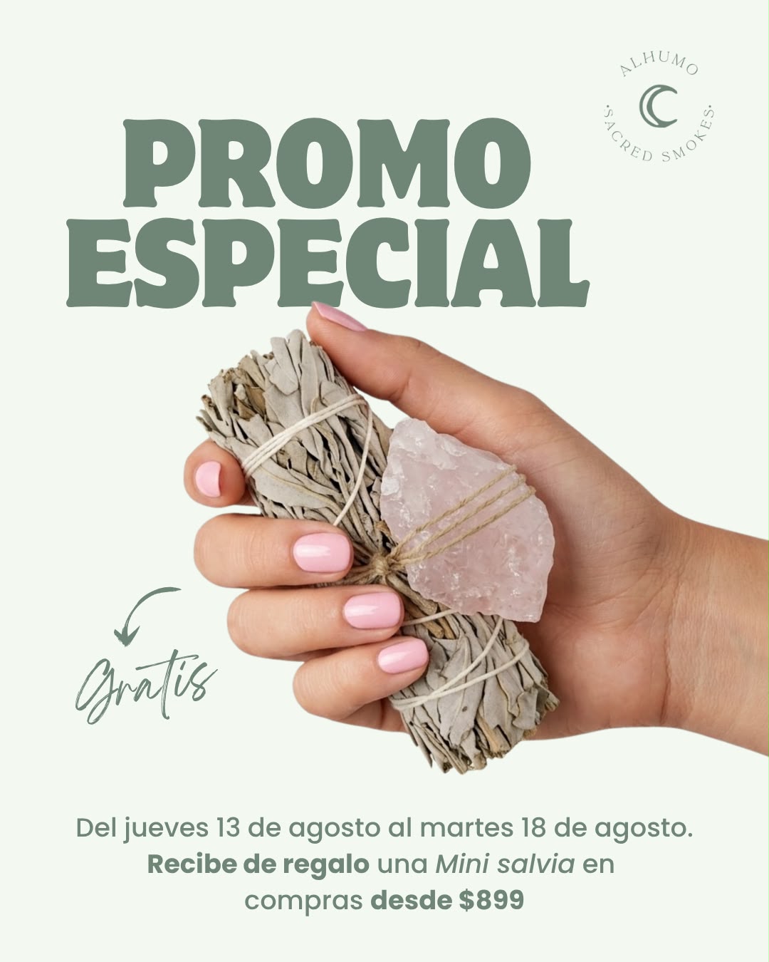 Mini Salvia - Regalo Agosto