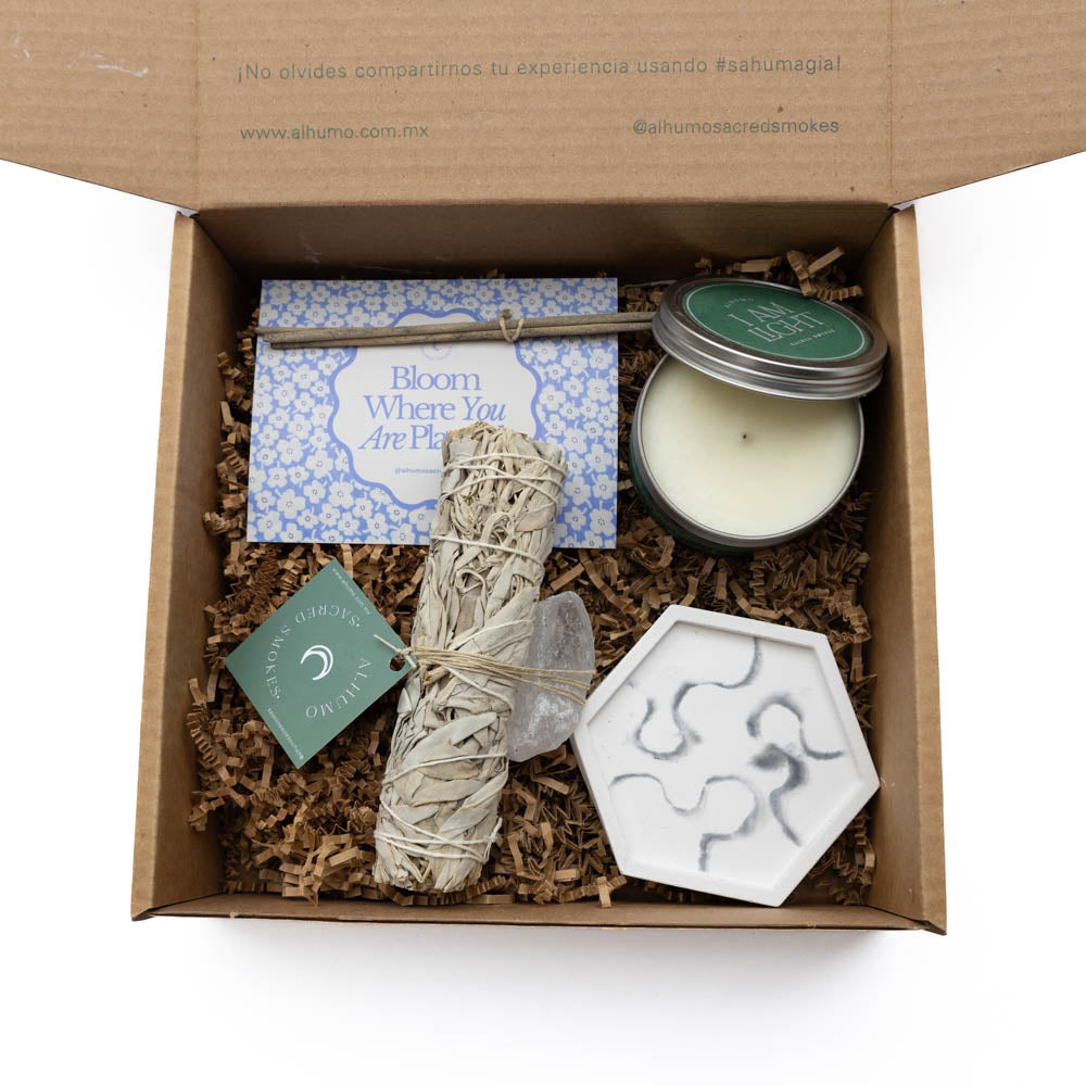 Purify - Kit de Limpieza y Protección